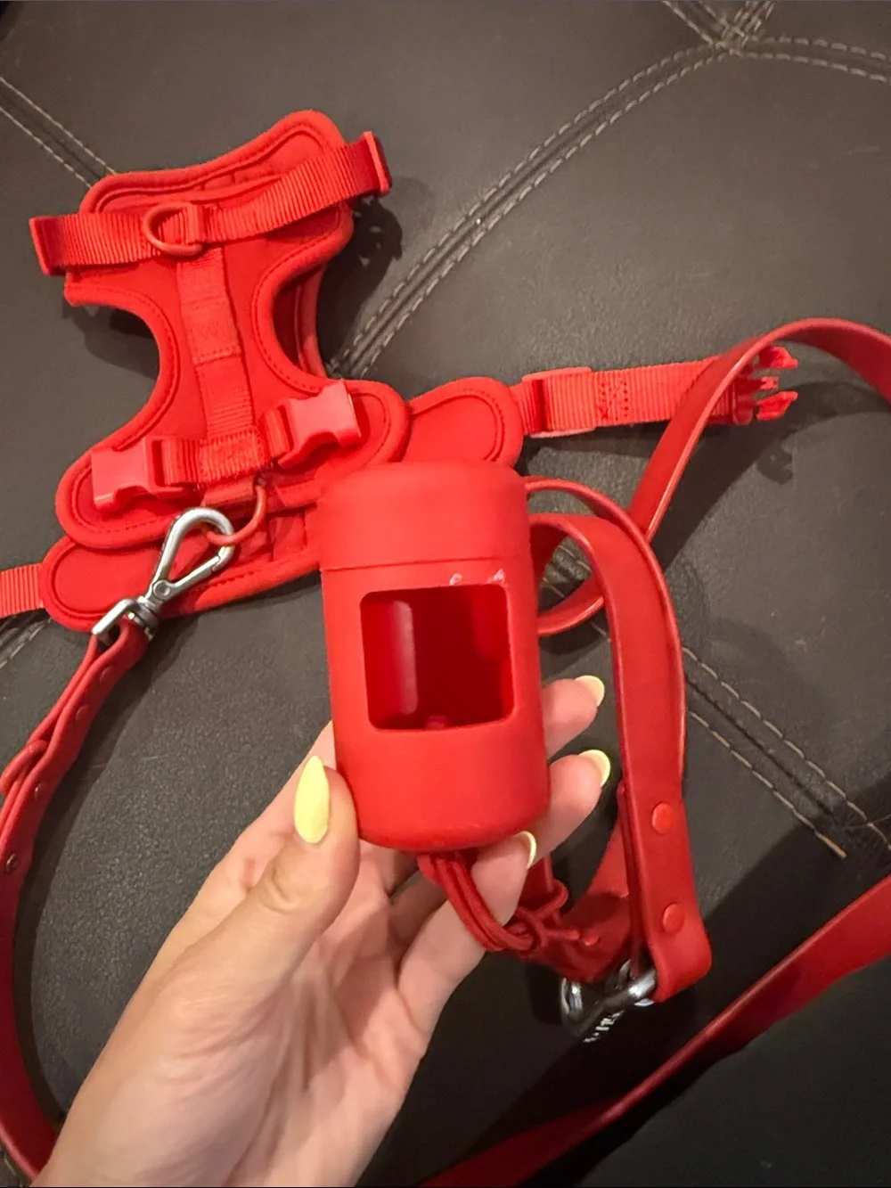 Wild One Red Small Dog Harness, X Long Leash, and Poop bag holder